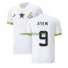 Maillot de Supporter Ghana Ayew 9 Domicile Jordan Coupe du Monde 2022 Pour Homme